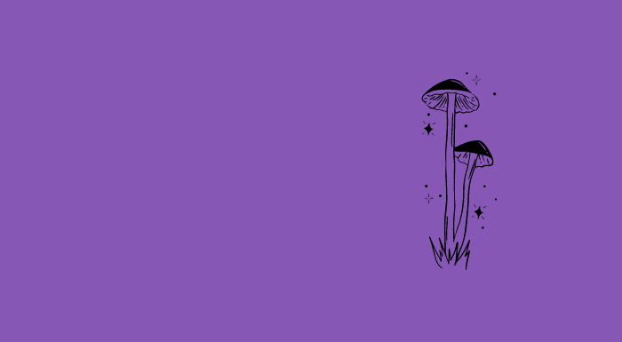 Amanita Muscaria Shroomz- Cover Image
